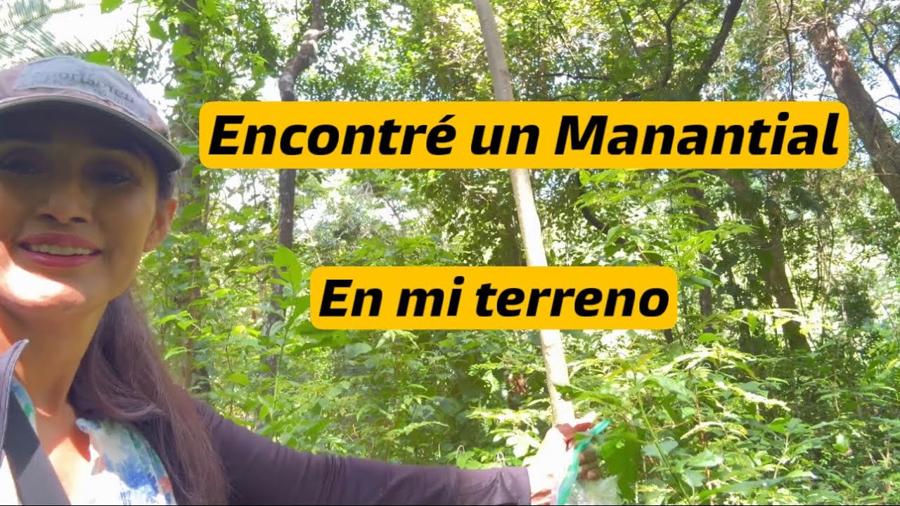 Encontr&eacute; un gran Tesoro en mi Terreno en la Sierra 