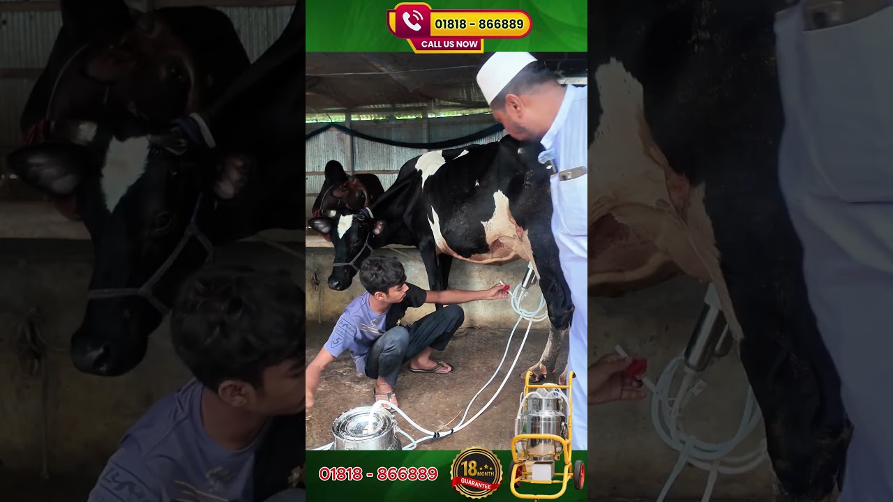 বিশ্বাস, সেবা ও টেকসই মান ১ বছর ধরে সফলভাবে ব্যবহৃত Cow Milking Machine