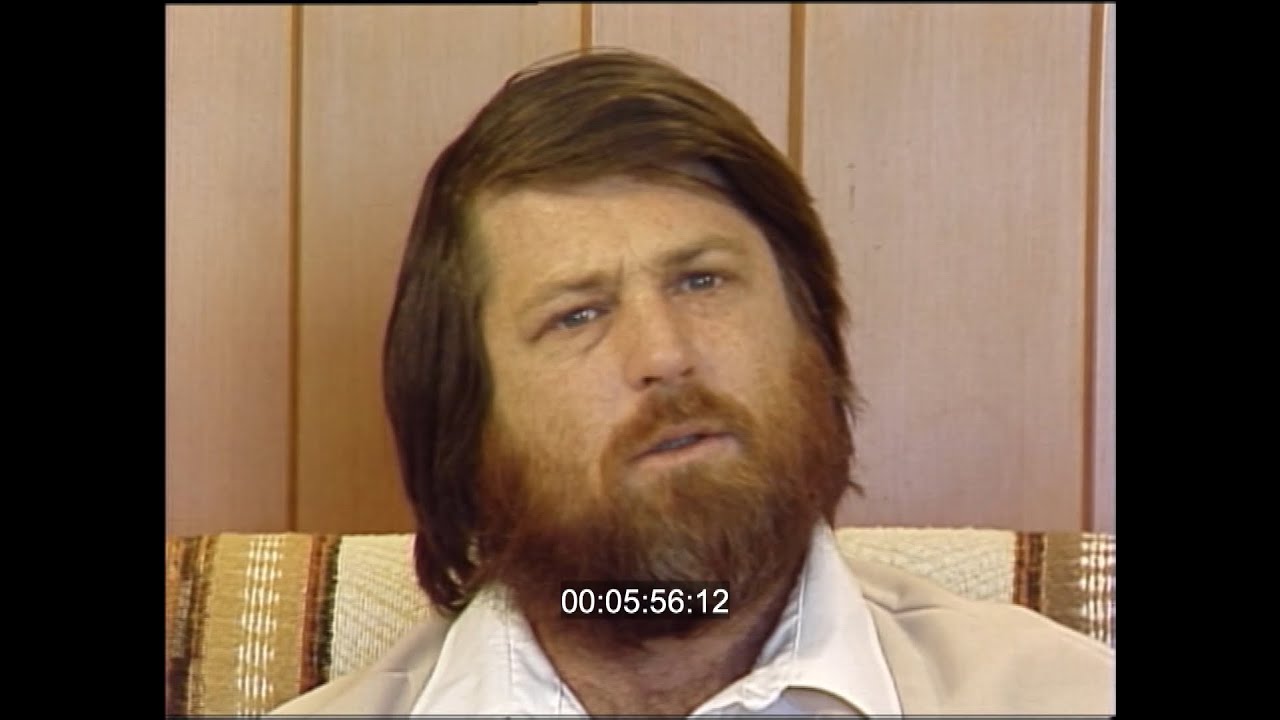 The Beach Boys | Brian Wilson | Mike Love | Carl Wilson | The creation of the band | 1982