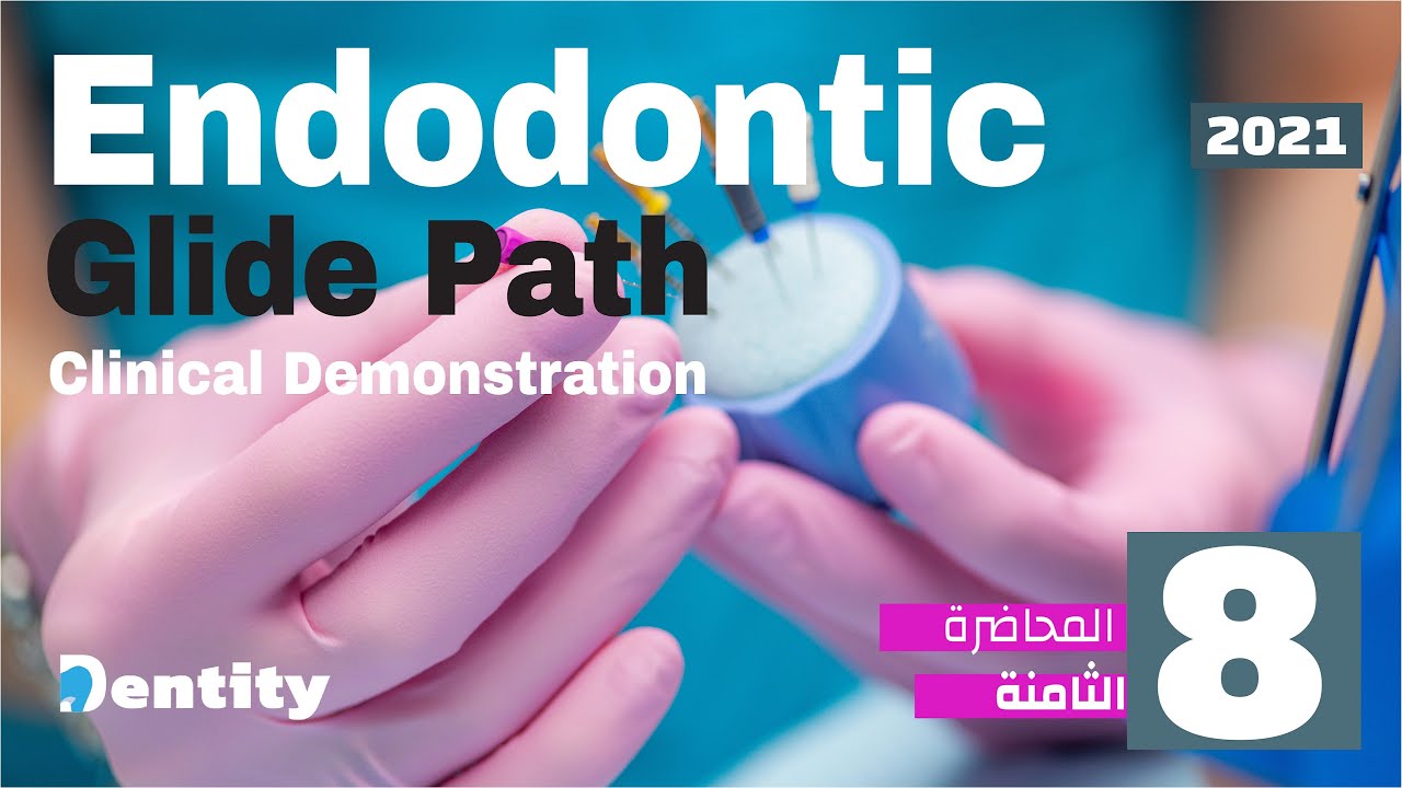 المحاضرة الثامنة في علاج العصب  | Endodontic Glide Path