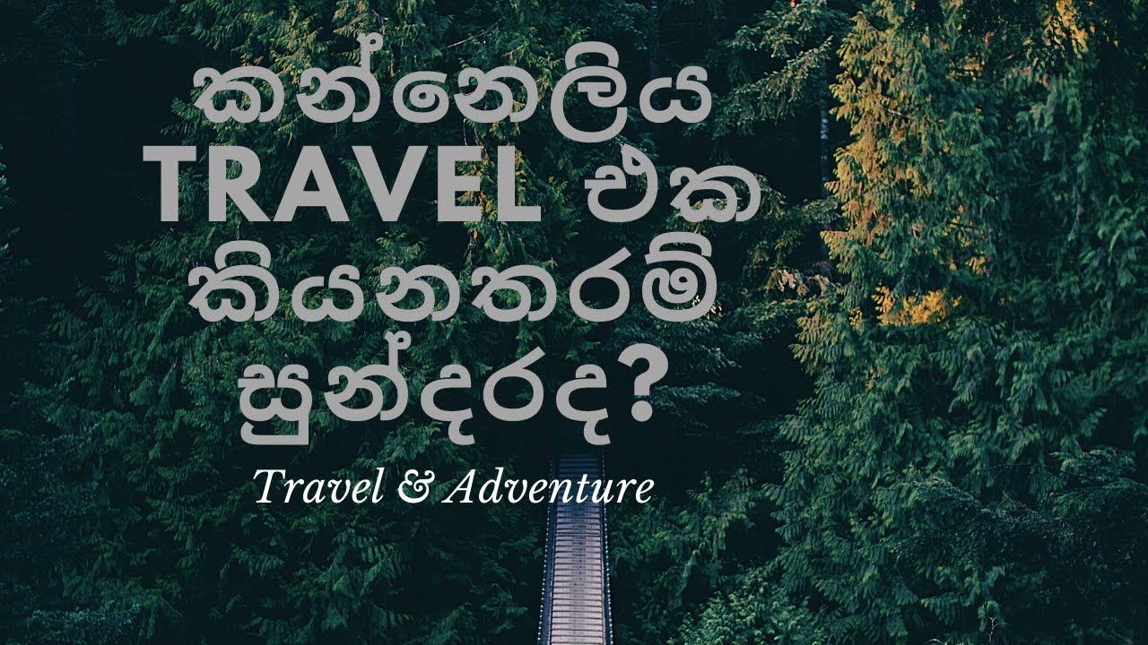 kanneliya Rainforest | කන්නෙලිය වැසිවනාන්තරයේ සංචාරය |