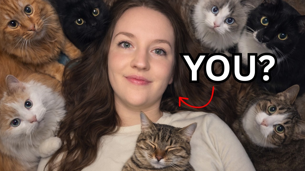 What Loving Cats Says About Your Personality
