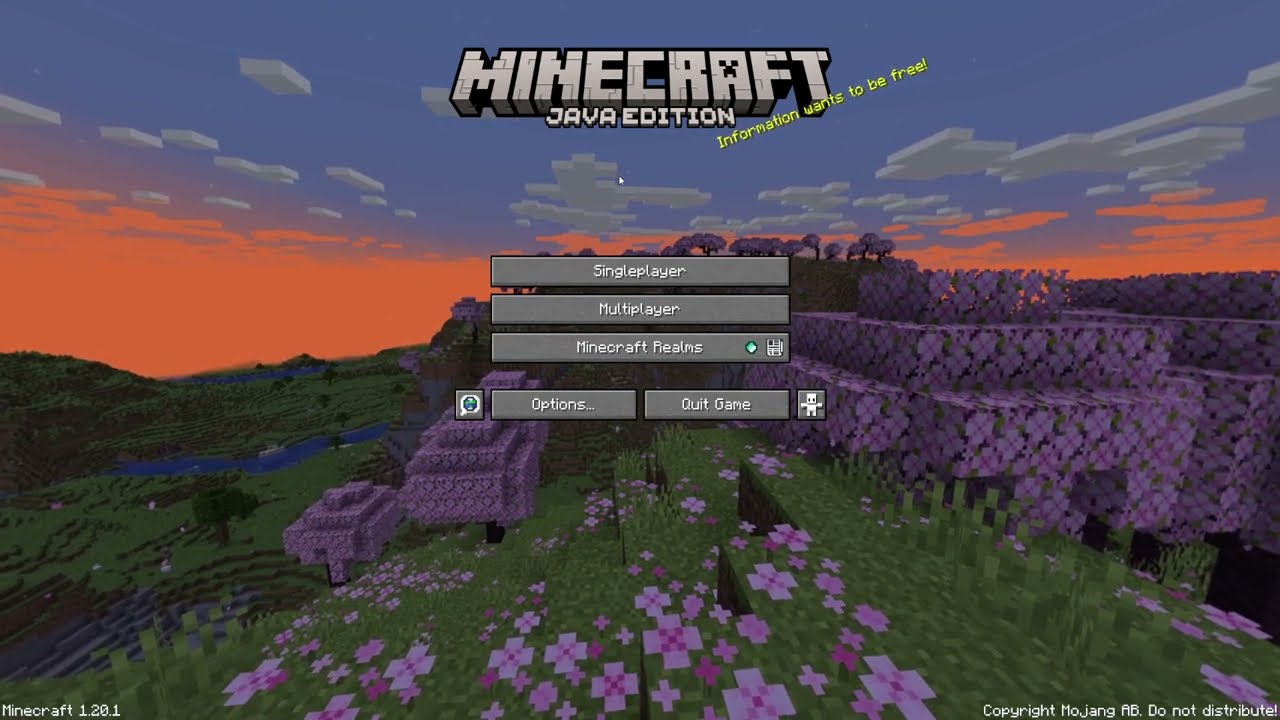 Minecraft 01