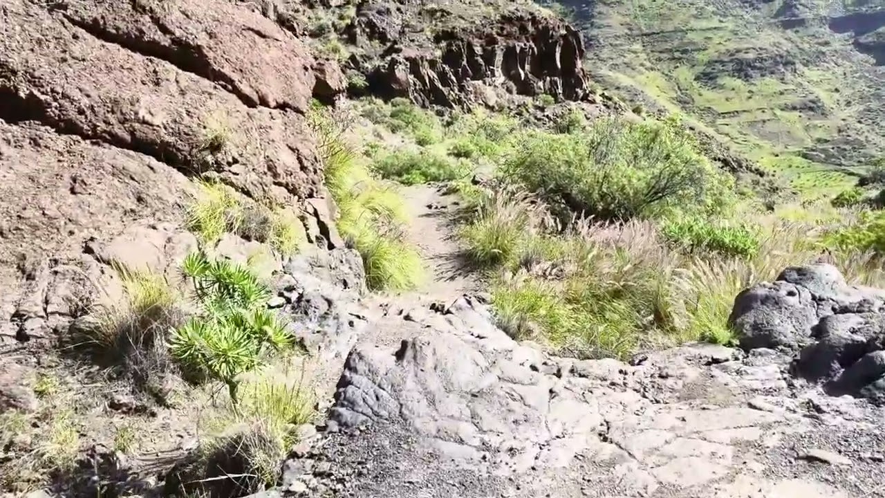 Tramos del camino de retorno desde playa de guigui (Gran Canaria)
