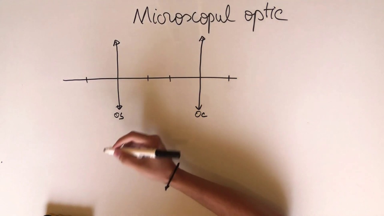 13.Optică - Microscopul optic