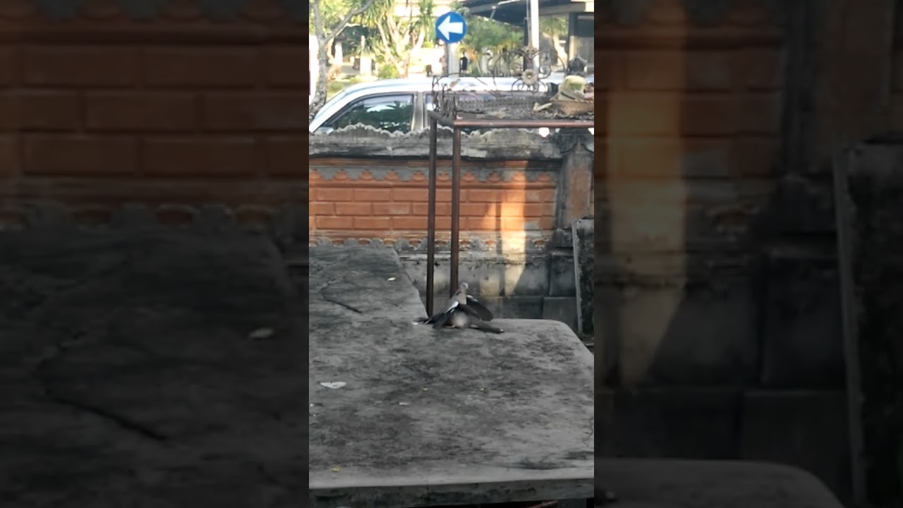 Birth in love
