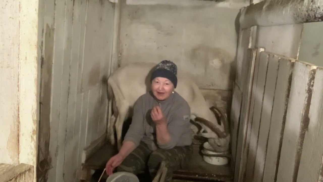 Снежана сдалась😀//