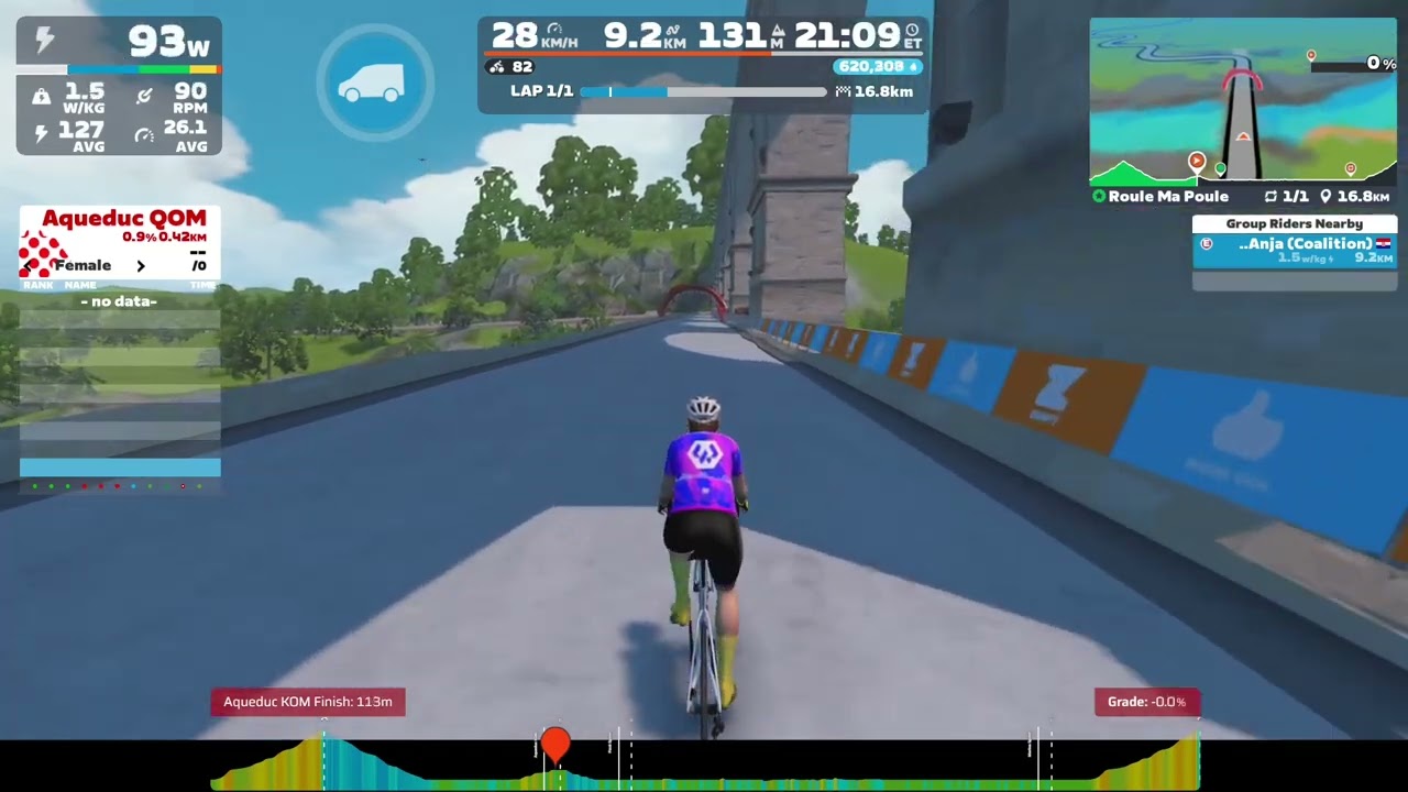 COURSE Roule Ma Poule, 1 lap from the pen, with elevation, speed 2x