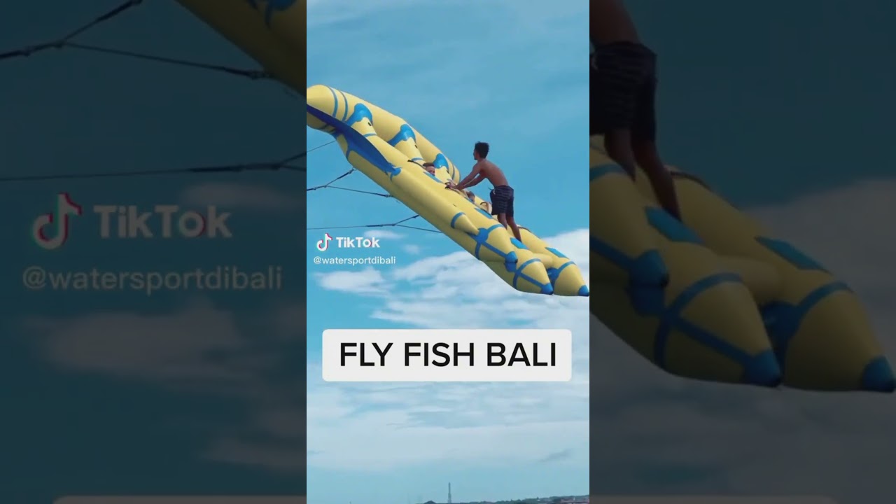 Flying fish bali