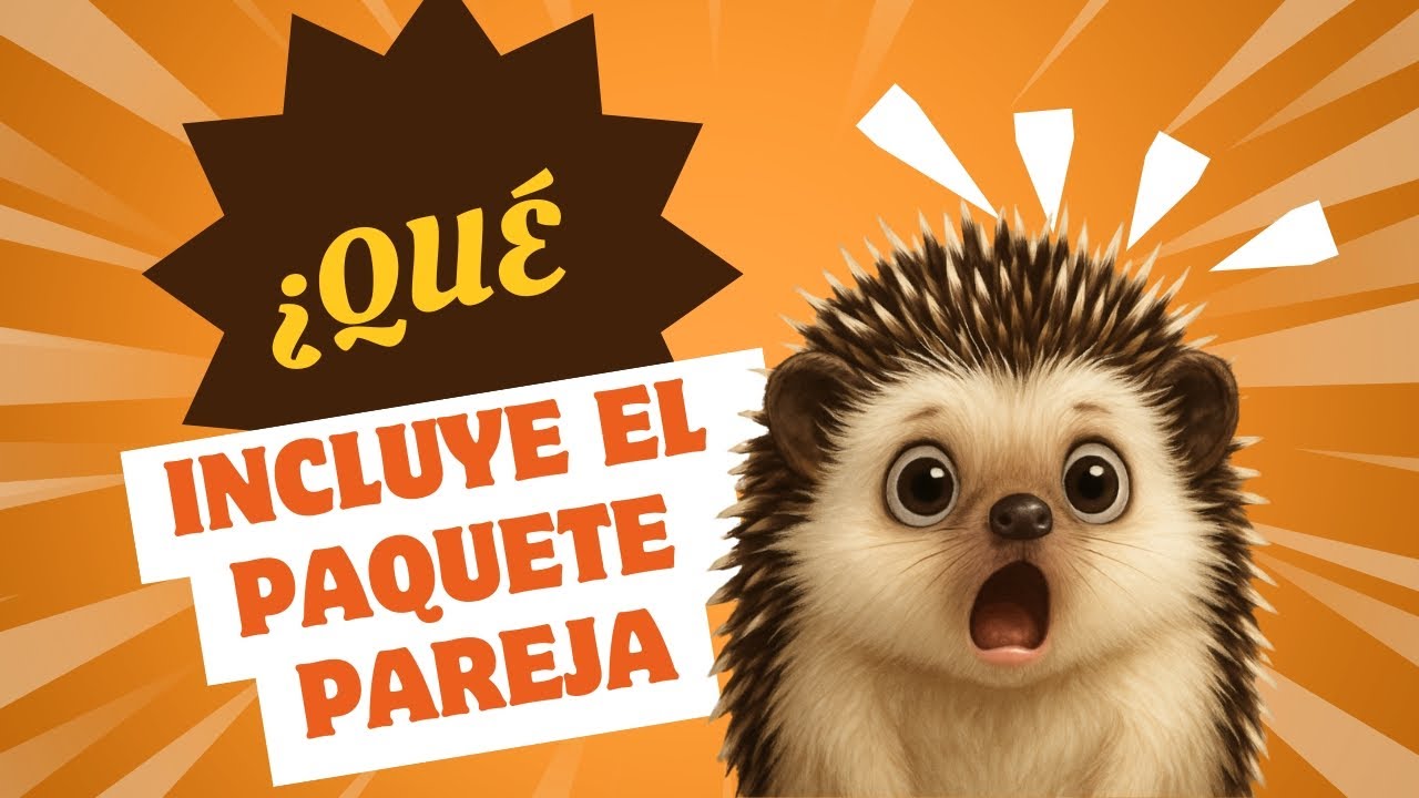 ¿Que incluye el paquete pareja de erizos? | Erizoo México | Venta de Erizos  en México