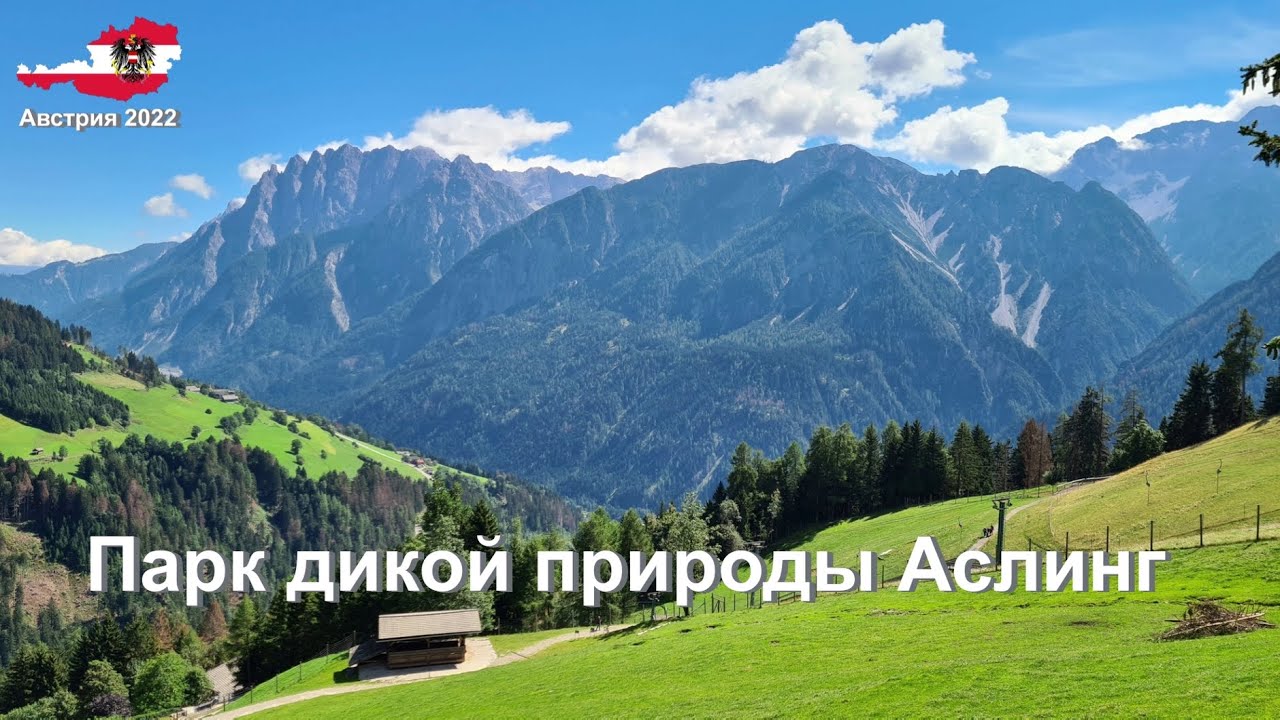 Парк дикой природы Аслинг, Австрия | Wildpark Assling