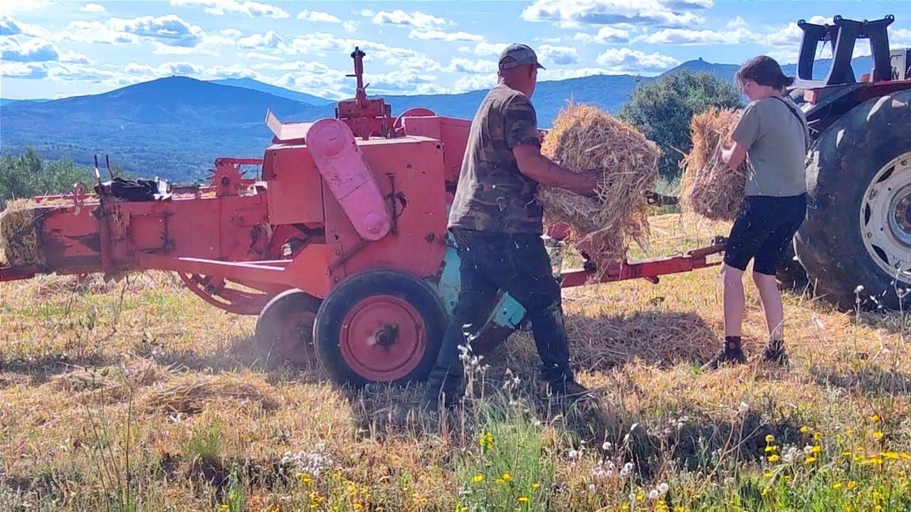 Alpacando con mi padre, se nos avería la maquinaria