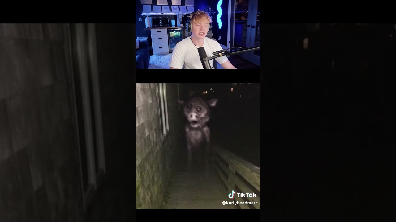 Minecraft Mobs as Cursed Images! 😨