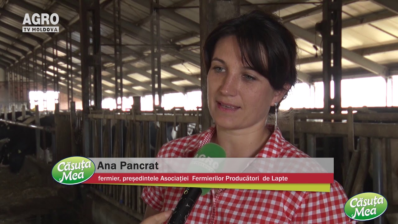 Ferma olandeză de la Goleni- ferma viitorului