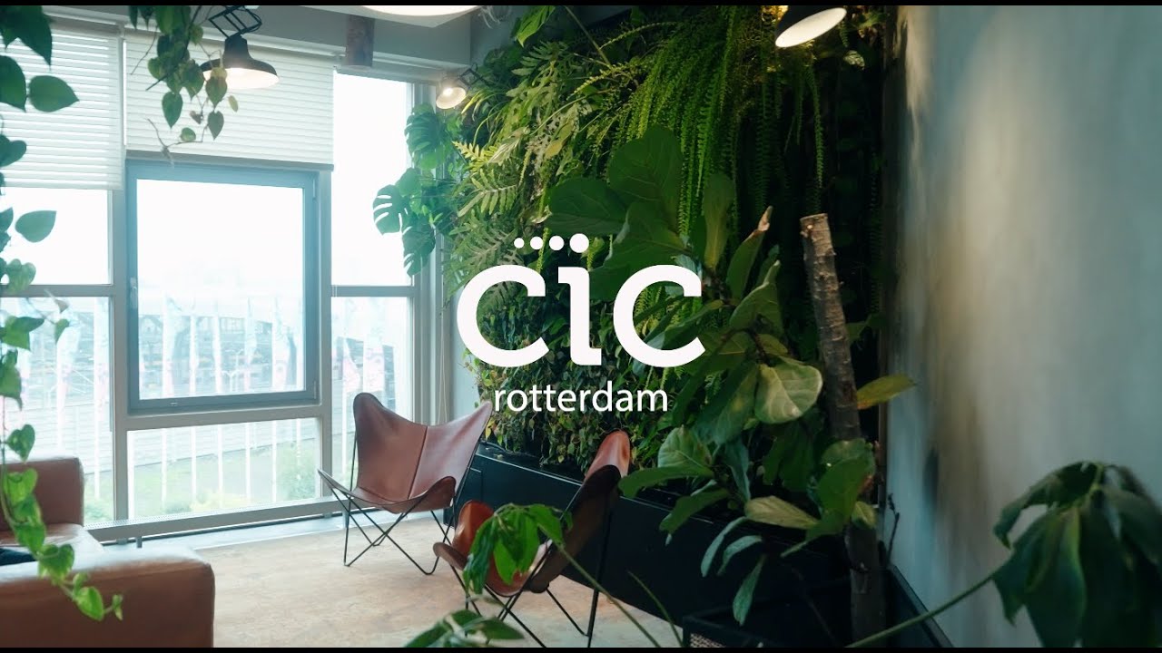 CIC Rotterdam’s 8th Year Anniversary
