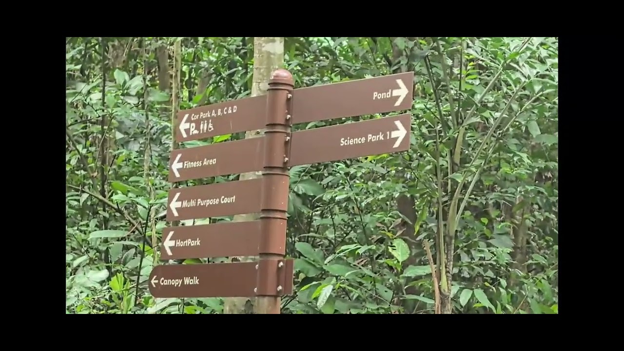 Kent Ridge Park | Nature | Fresh Air | Peaceful Walks
