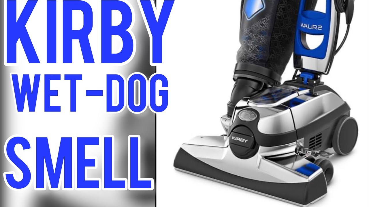 KIRBY AVALIR SMELLS: HOW TO CLEAN MOISTURE DAMAGE WITHOUT STRIPPING KIRBY VACCUM APART