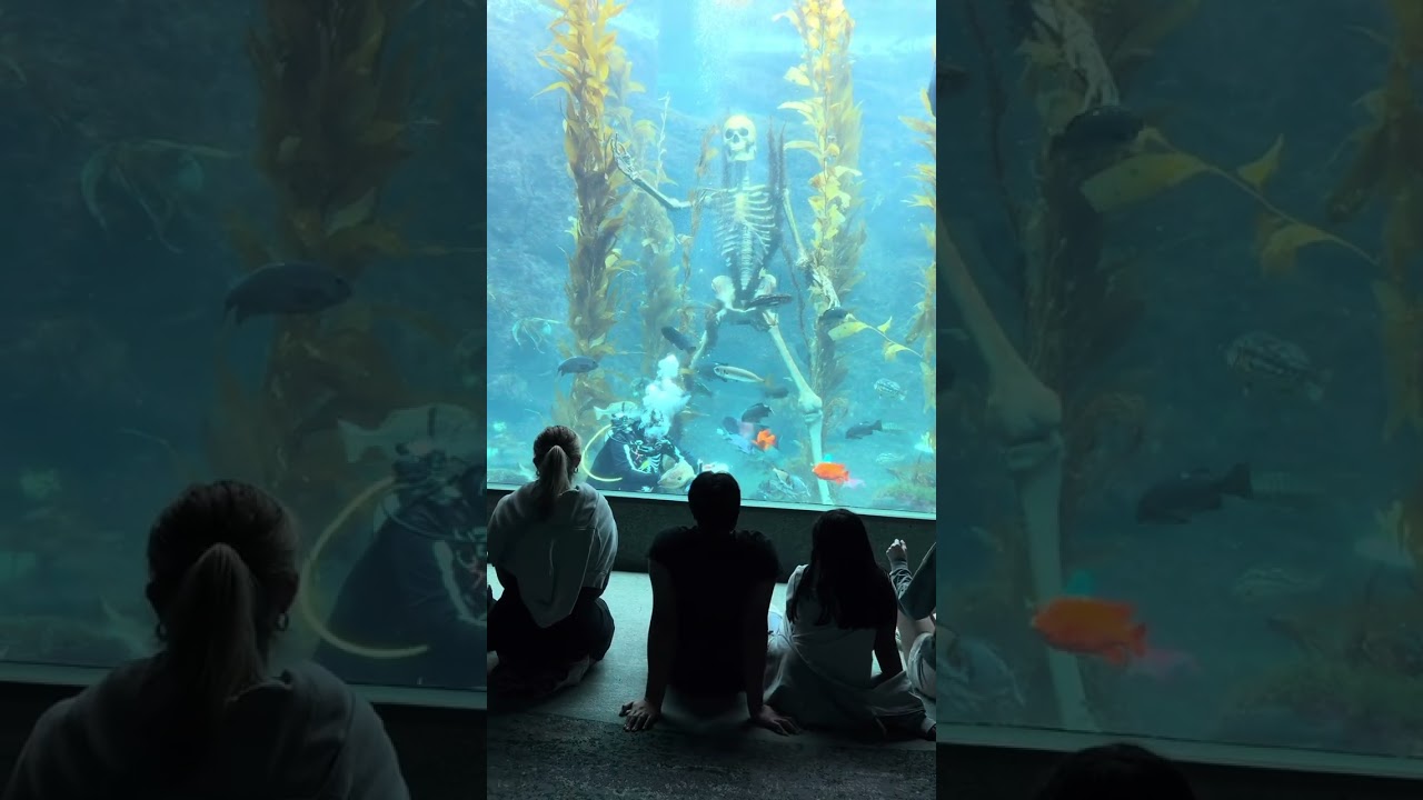 Birch aquarium, museum presentation