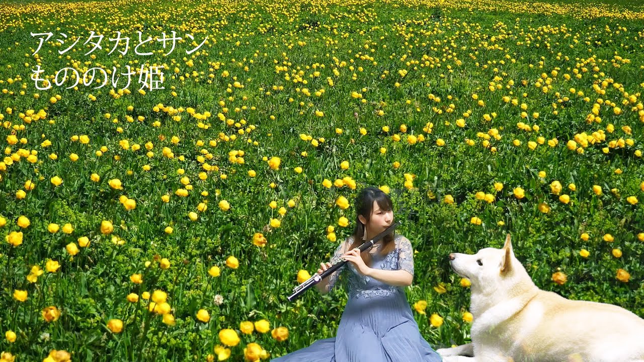 【フルート】アシタカとサン もののけ姫　Ghibli Princess Mononoke【演奏してみた】FLUTE