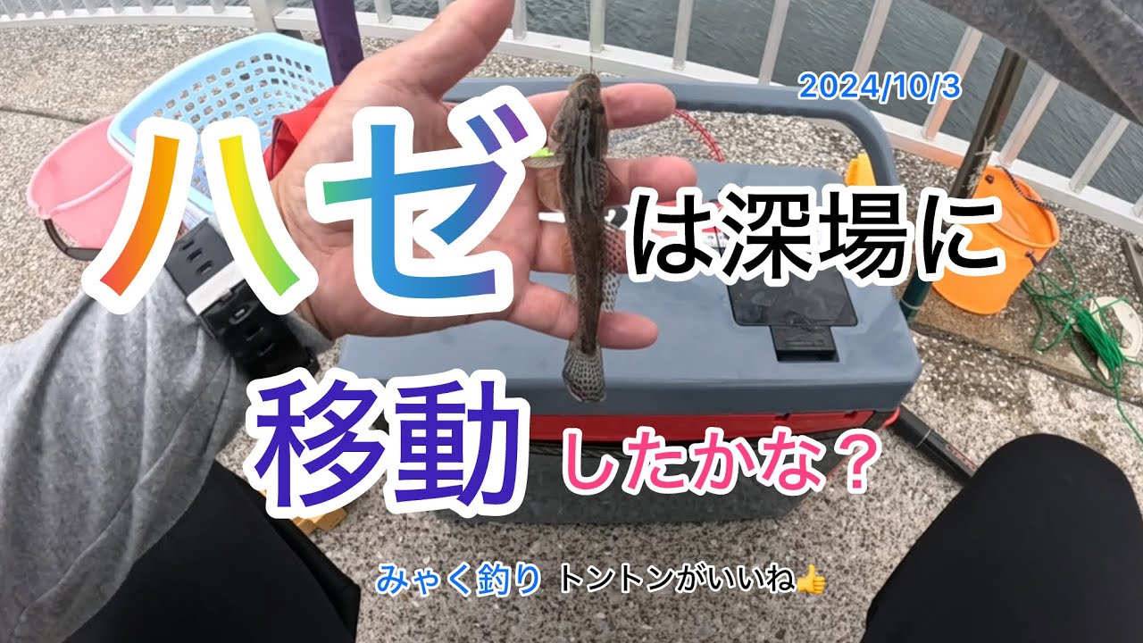 ハゼは深場に移動したかな？2024/10/3