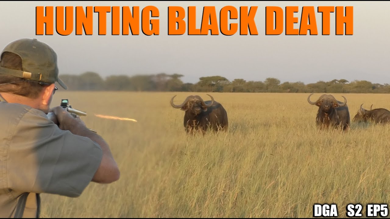 Hunting Black Death by Double Rifle