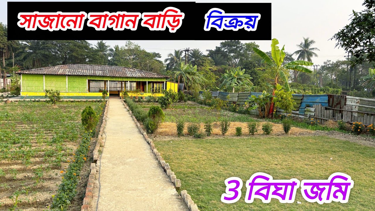 155🔴3 বিঘা সাজানো বাগান বাড়ি বিক্রয় #viral #vlog #realestate #house 