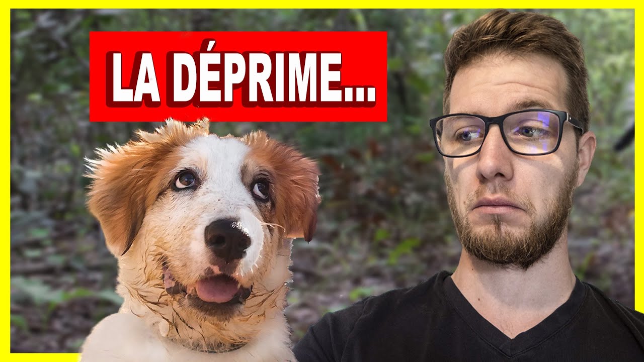Le Puppy blues  - Mes astuces pour le surmonter