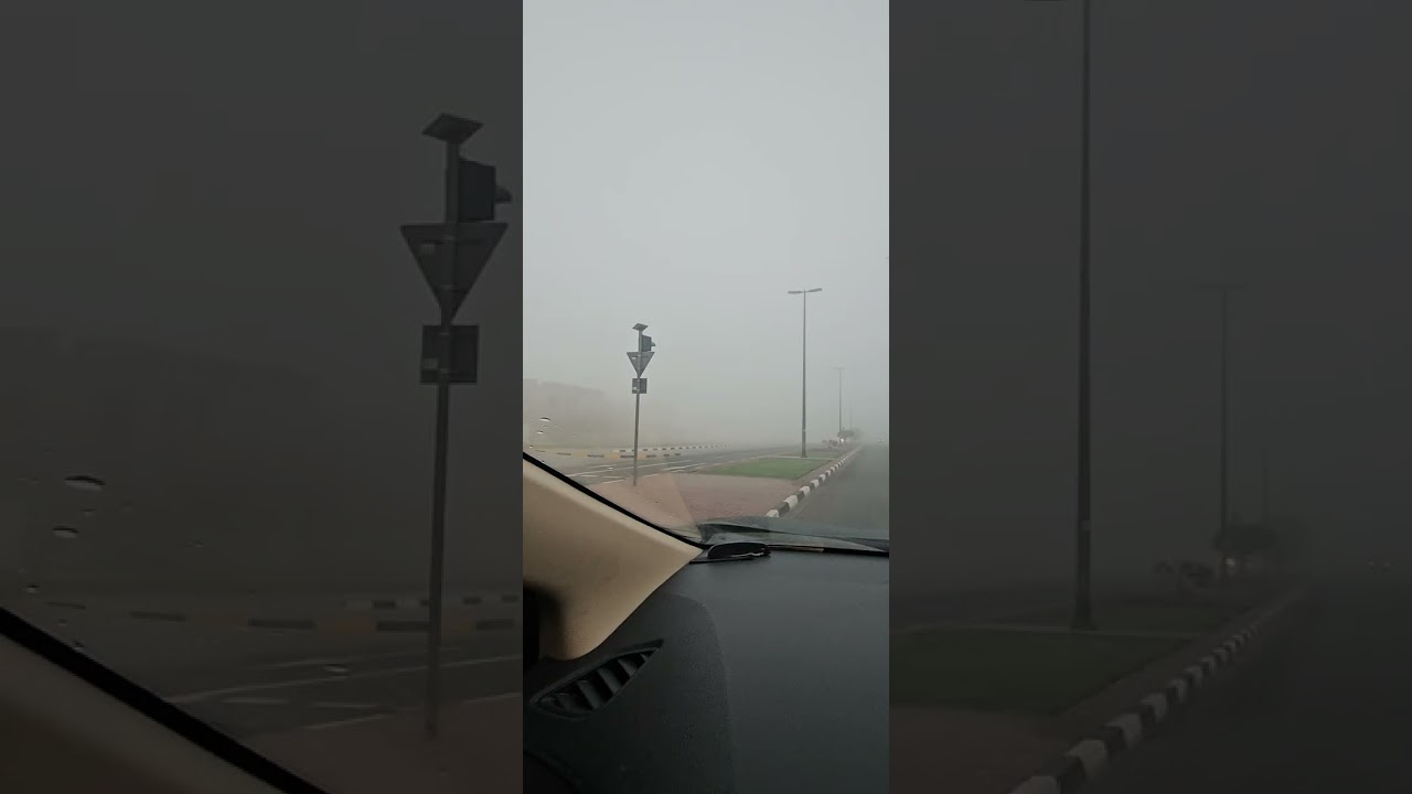 Dense Foggy Sharjah