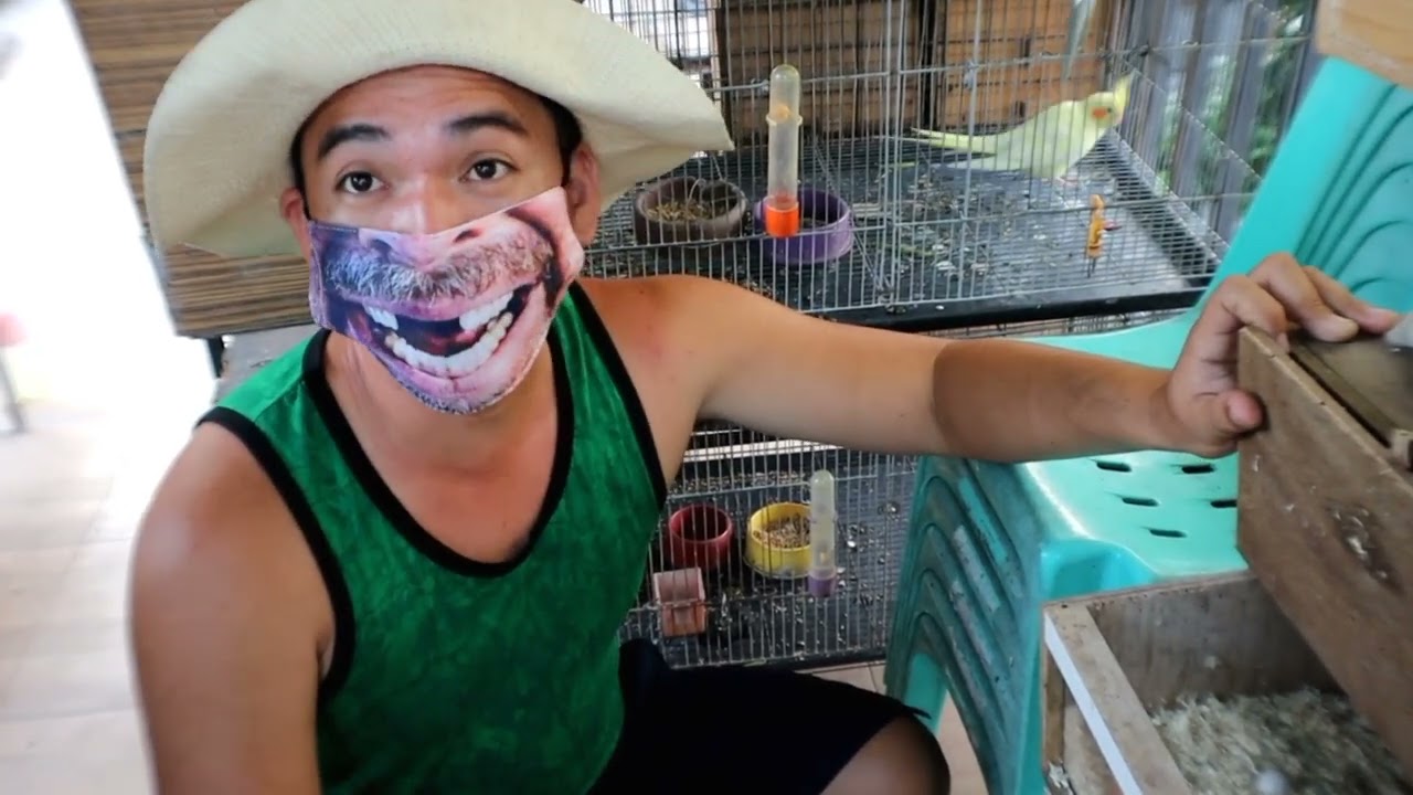 FARM visit - HIGH END COCKATIEL sa Dasmariñas cavite| ANDAMING inakay😱