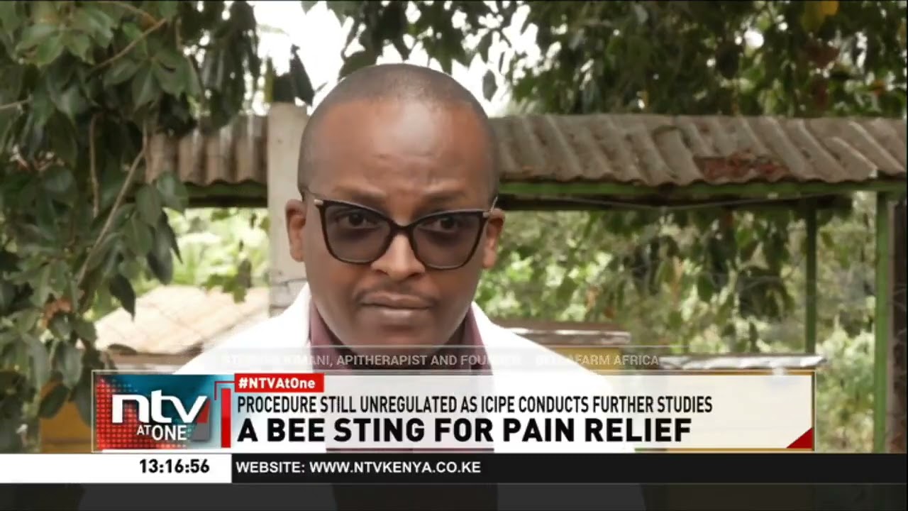 Why Some Kenyans Are Choosing Bee Stings for Pain Relief