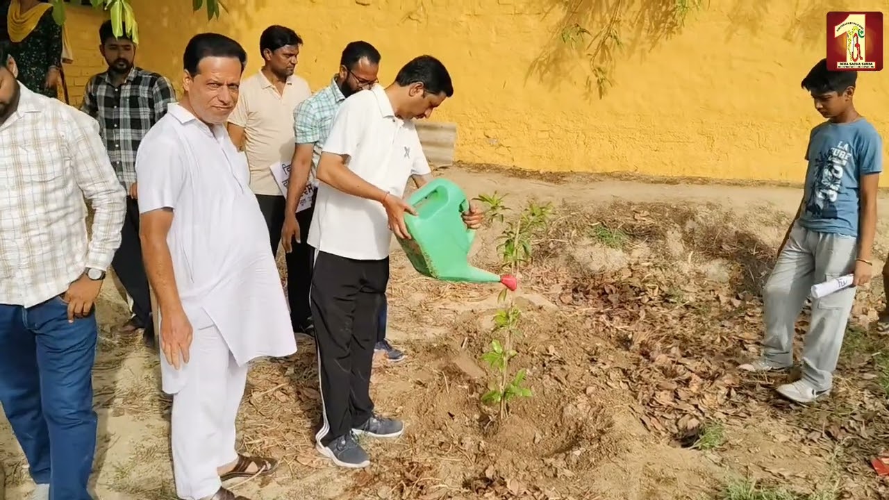 Millions of Trees Planted