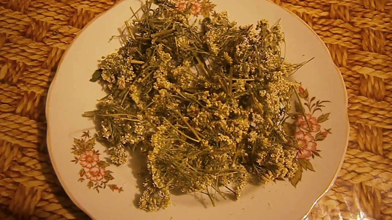 Мазь для козы