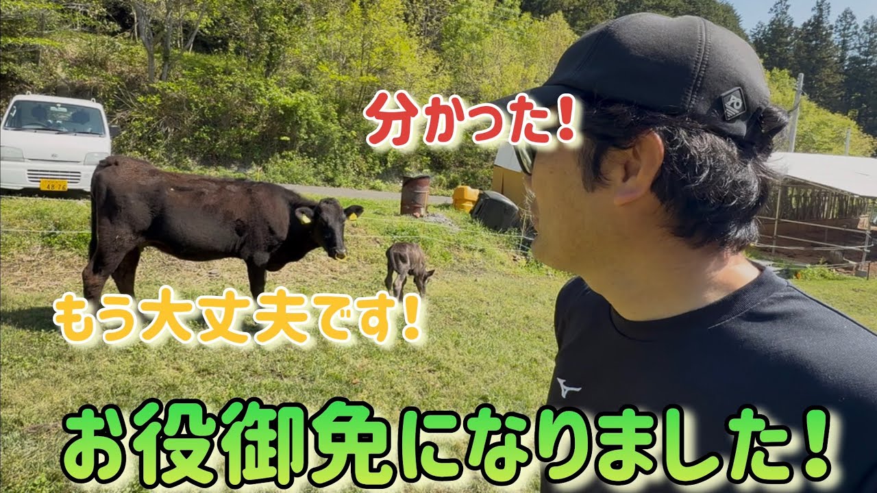 私の役目が終わった日