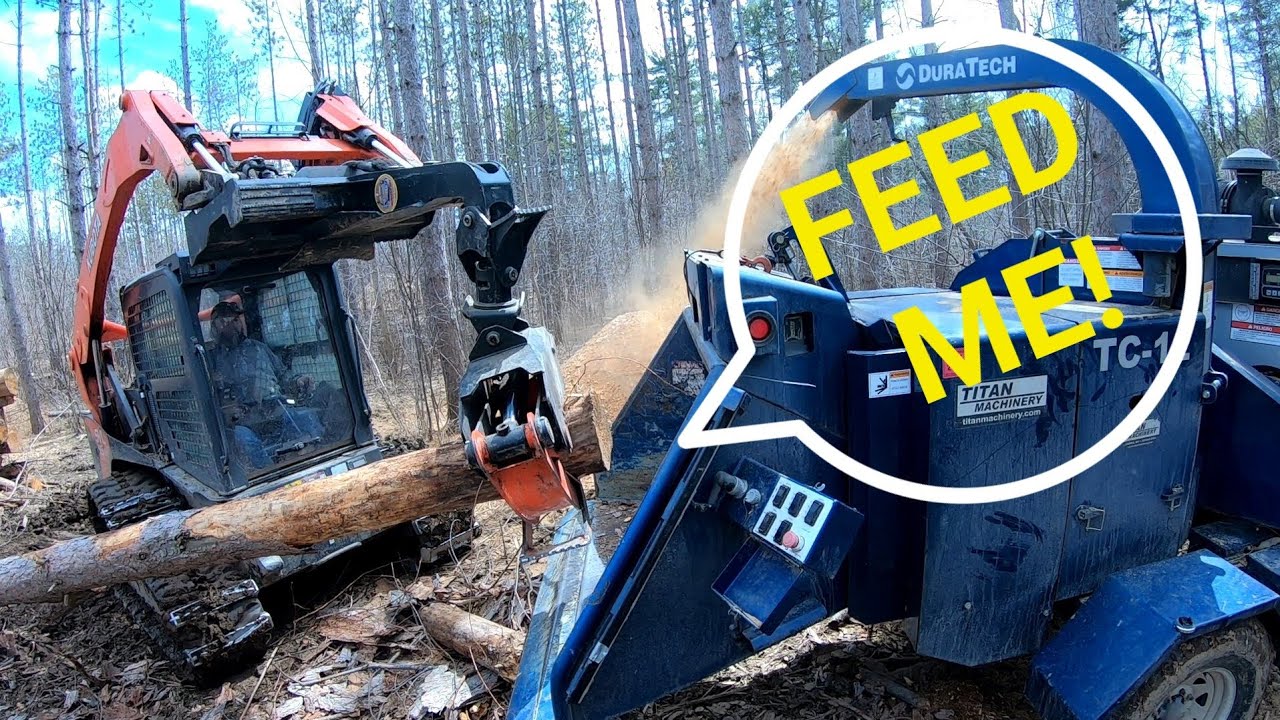 CUTTING AND CHIPPING DEAD RED PINE