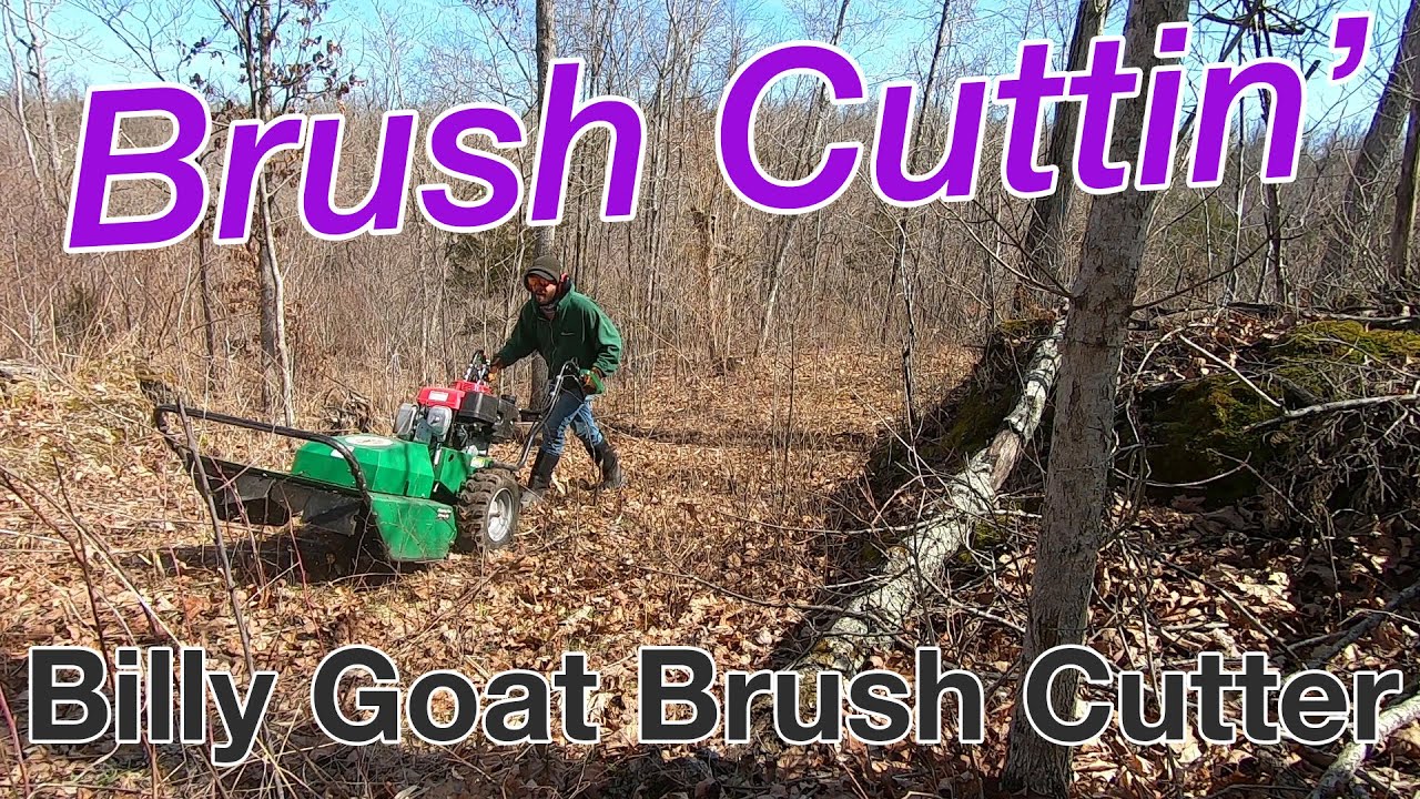 Review of the Billy Goat Outback Series Brush Cutter - Home Depot Rental (#7)