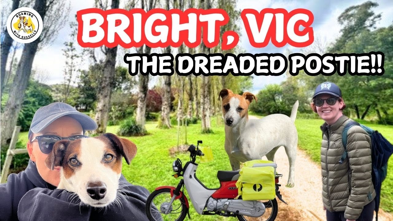 Exploring Bright, VIC: Canyon Walk, Dog-Friendly Spots & Brewery Tasting
