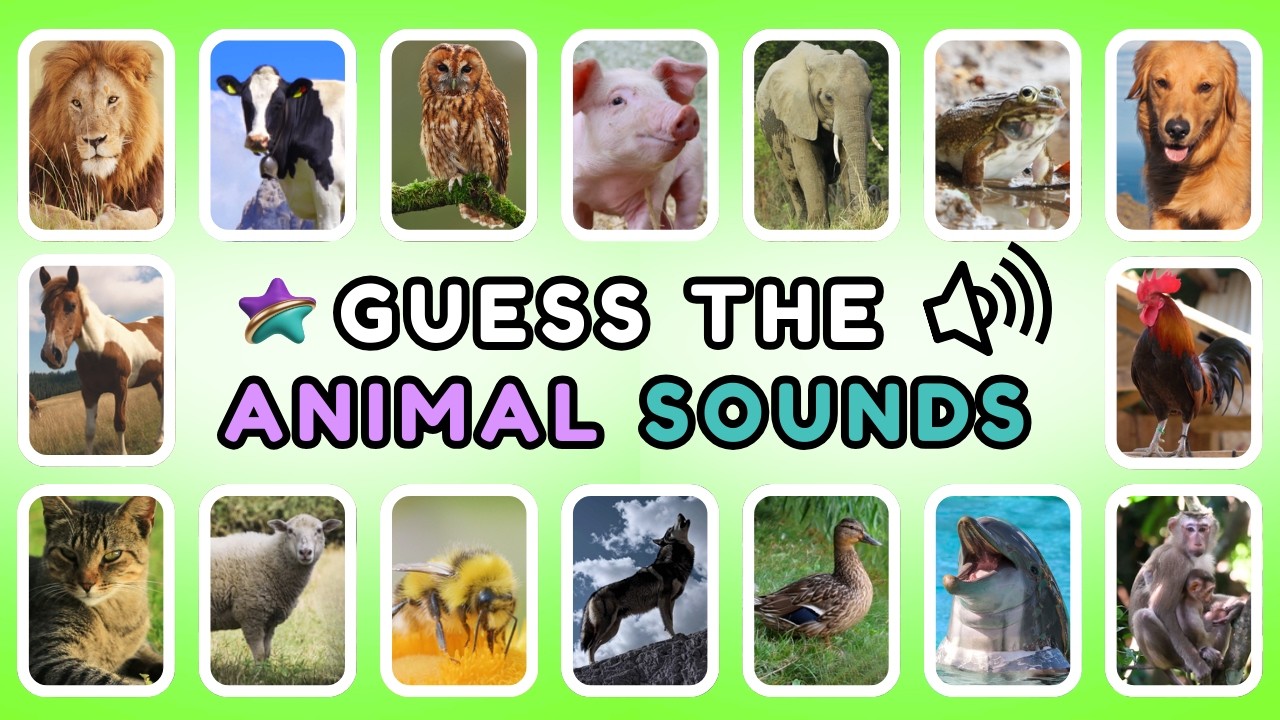 Guess The Animals By Their Sound 🔊🦁🐸 Animals Quiz
