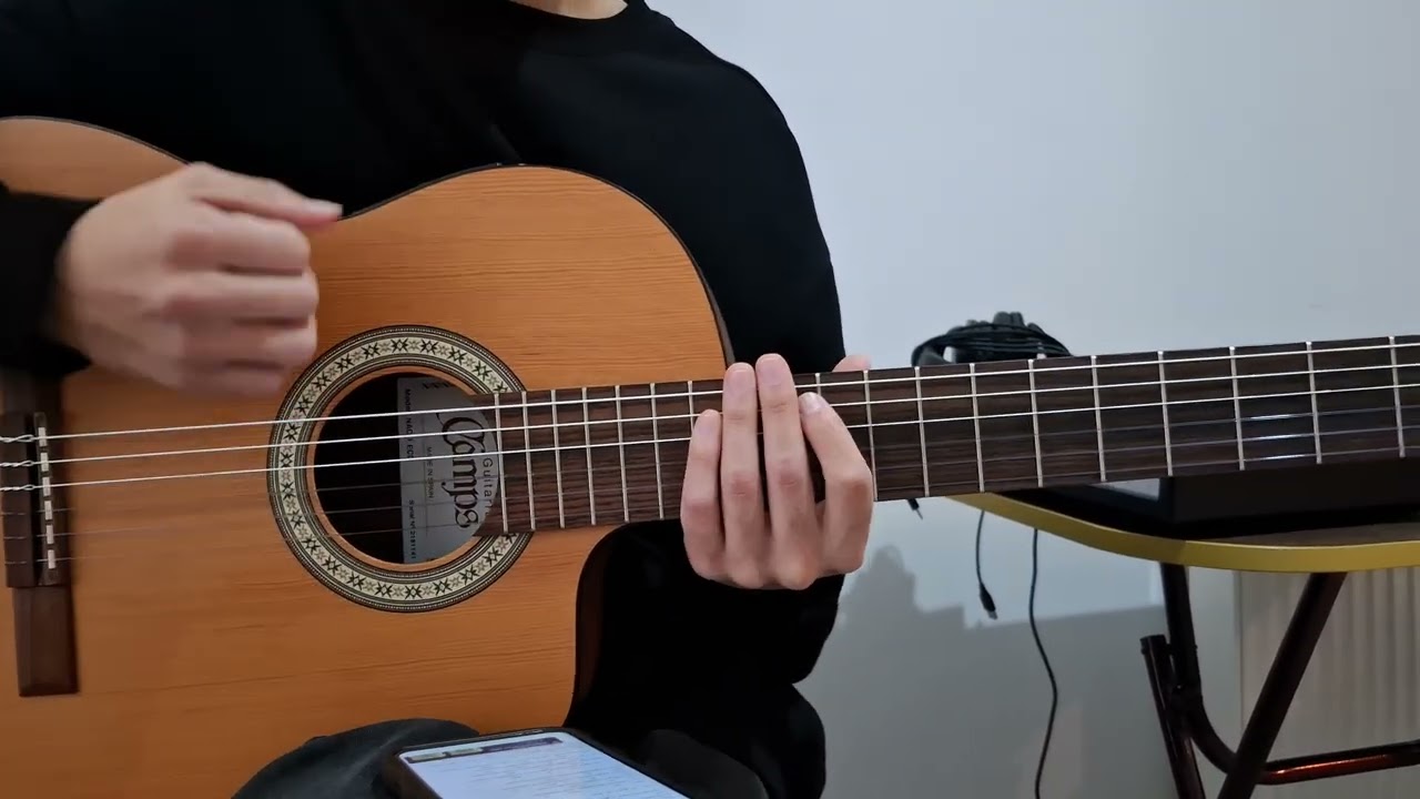 Dünyanın en güzel kızı (Gitar Dersi 3)Tolga Naslica