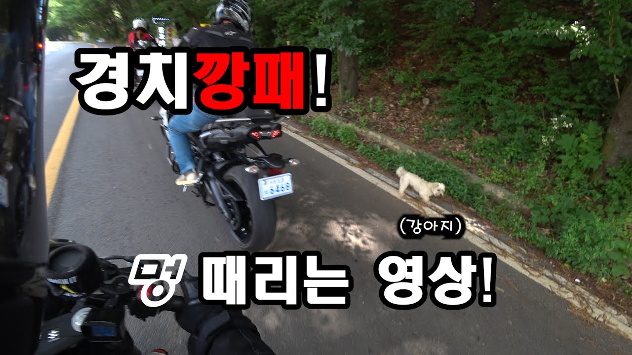 남이섬가는길은 언제나 즐거워~/데이트코스추천 [20투어#5]
