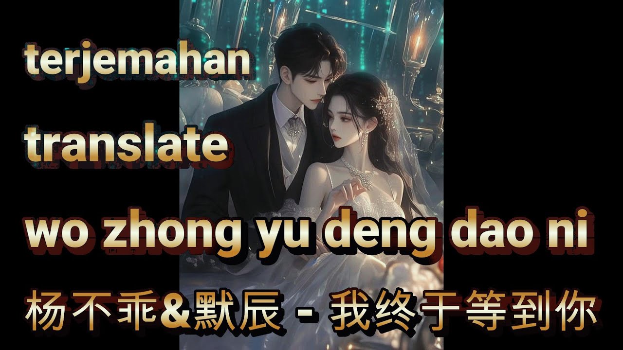 lagu mandarin 杨不乖&默辰 - 我终于等到你 wo zhong yu deng dao ni 「我终于终于终于等到你」 拼音动态歌词 新版本 2025