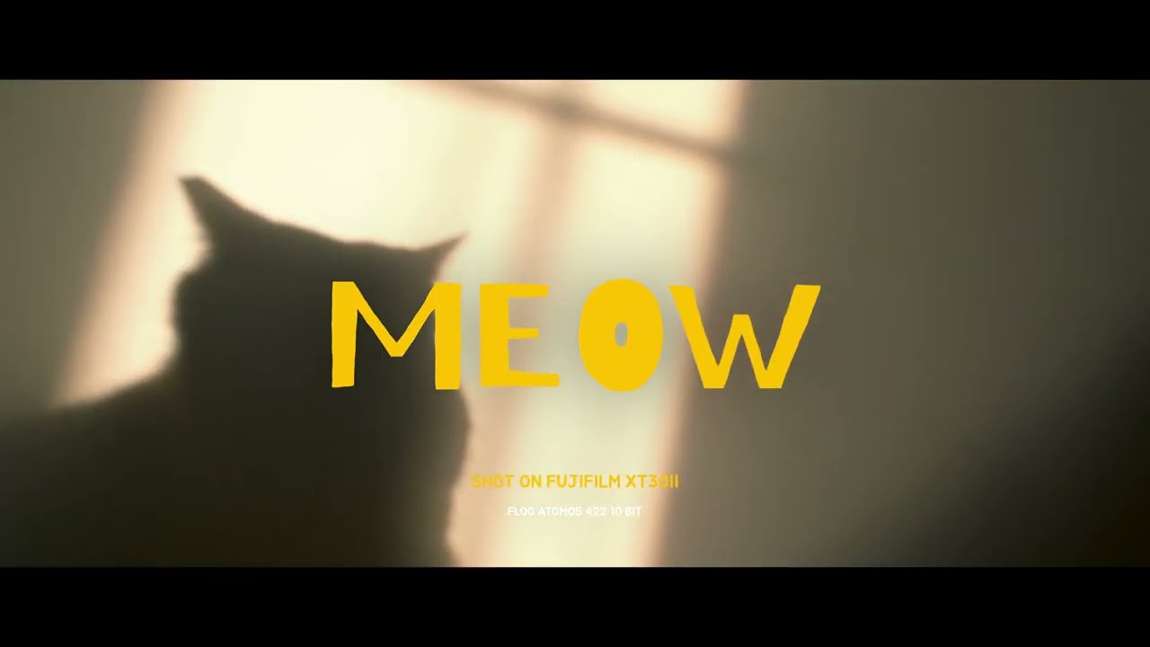 Most UNDERRATED Camera | FUJIFILM X-T30 II | 4K CINEMATIC CAT VIDEO