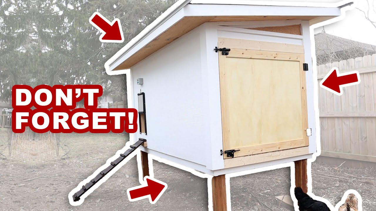 Chicken Coop Features NOT To Forget (8 Things To Consider)