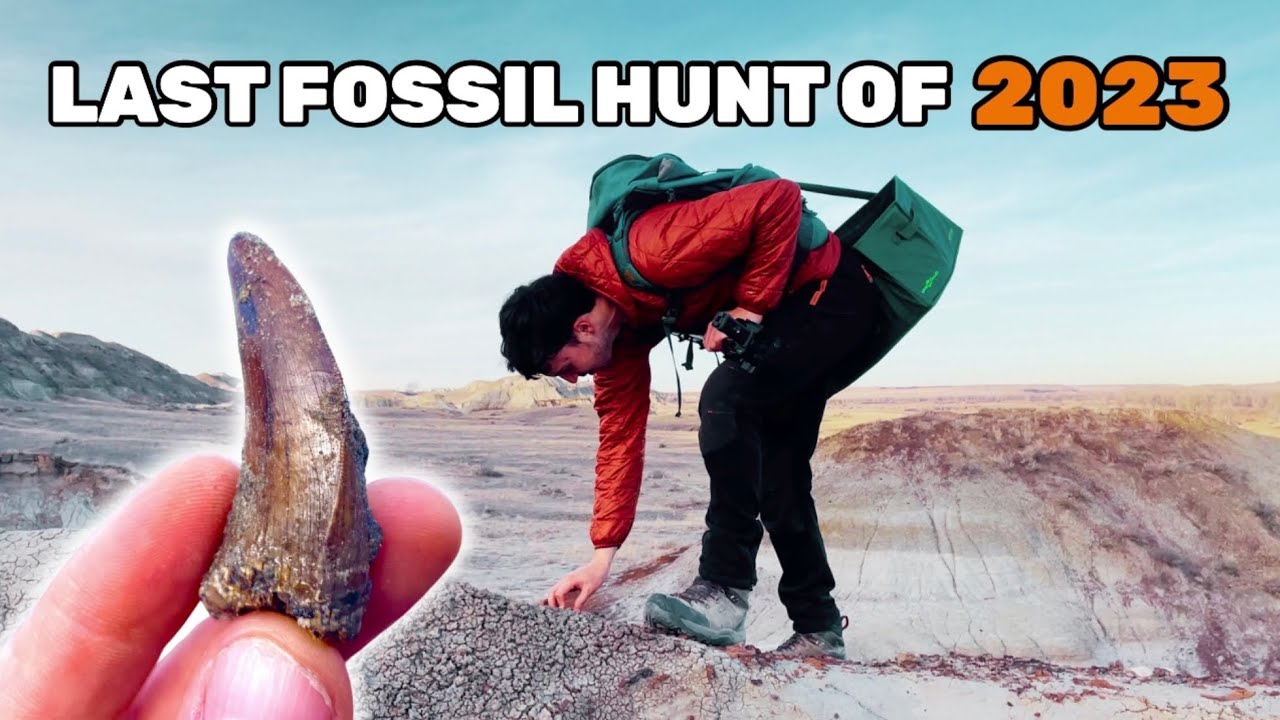 Dinosaur Fossil Hunting in the Badlands in December with Northern Fossil Hunting