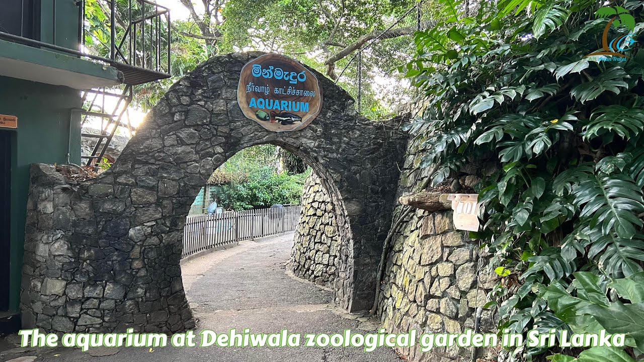 The aquarium at Dehiwala zoological garden in Sri Lanka