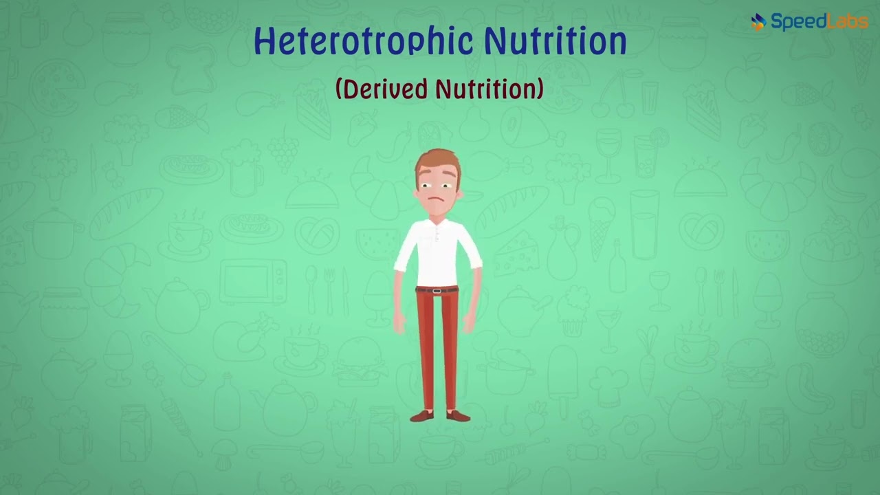 Class-10-Science-Ch-10-Life Process-Topic- Heterotrophic Nutrition