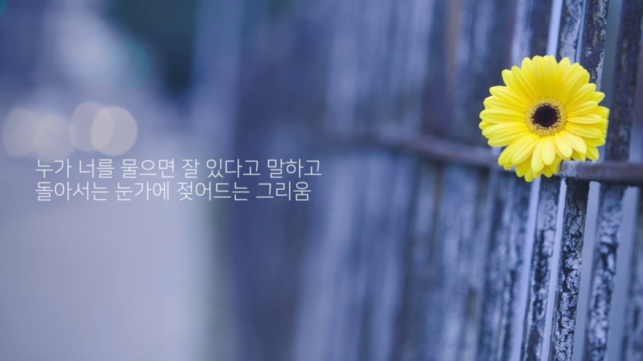 고한우 - 네가 보고파지면 | 가사