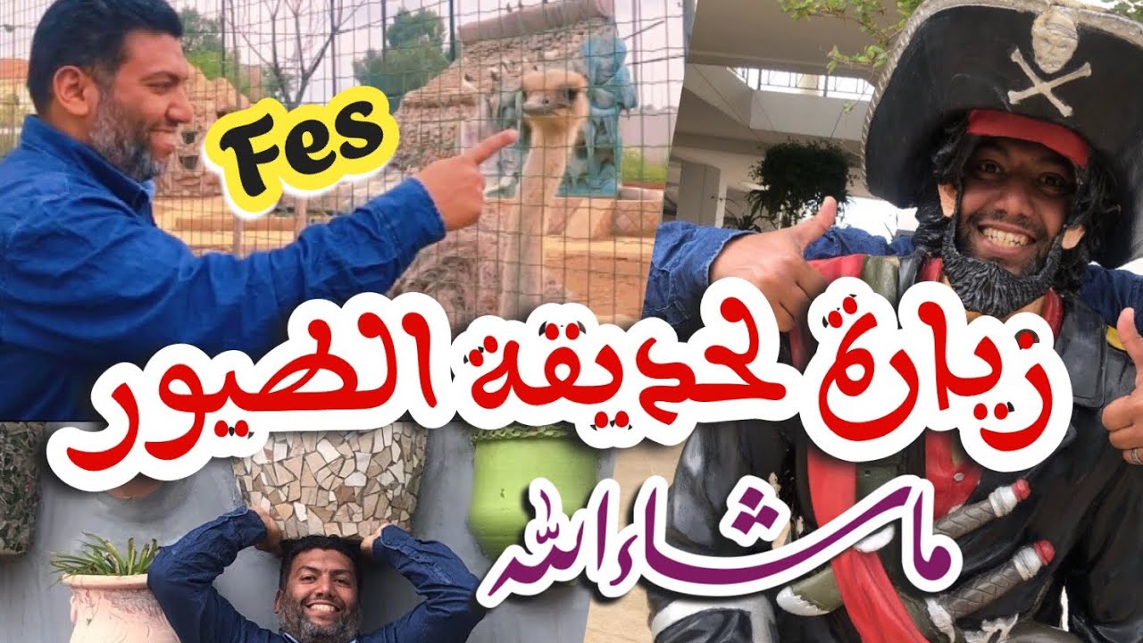 زيارة لحديقة الطيور الجميلة بمدينة فاس المغربية سبحان الله تبارك الله 4K