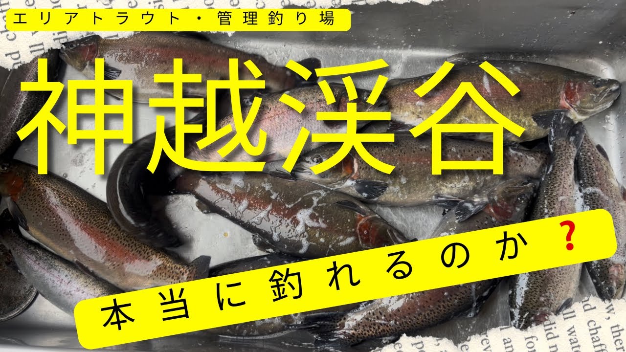 愛知県のエリアトラウト神越渓谷にチャレンジしてきたよ【エリアトラウト・管理釣り場】