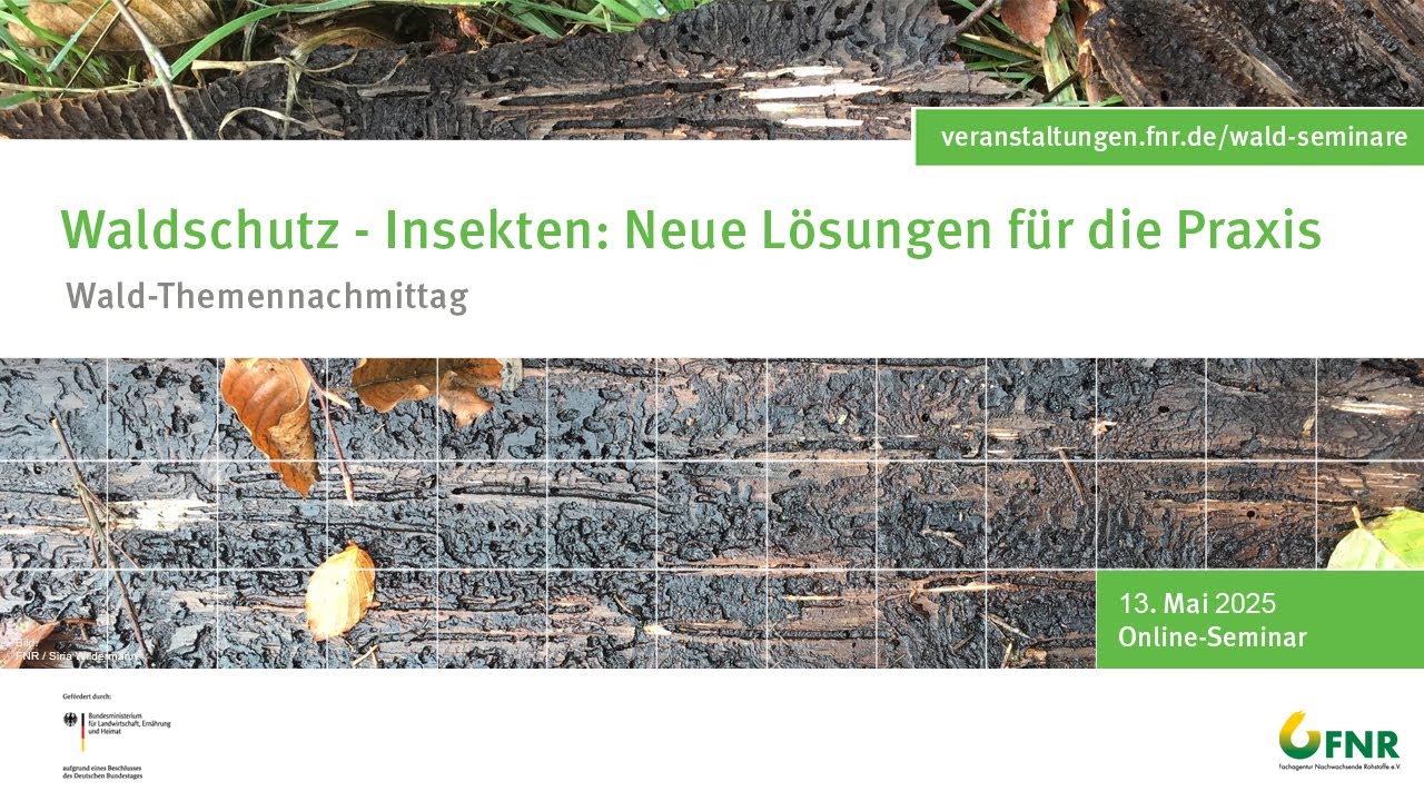 Waldschutz - Insekten: Naturnahe Regulationsverfahren f&uuml;r eine nachhaltige Waldbewirtschaftung (3/6)
