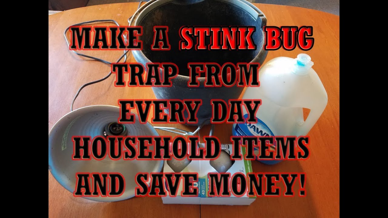 BEST STINK BUG TRAP EVER! - Save money with stuff from around the house